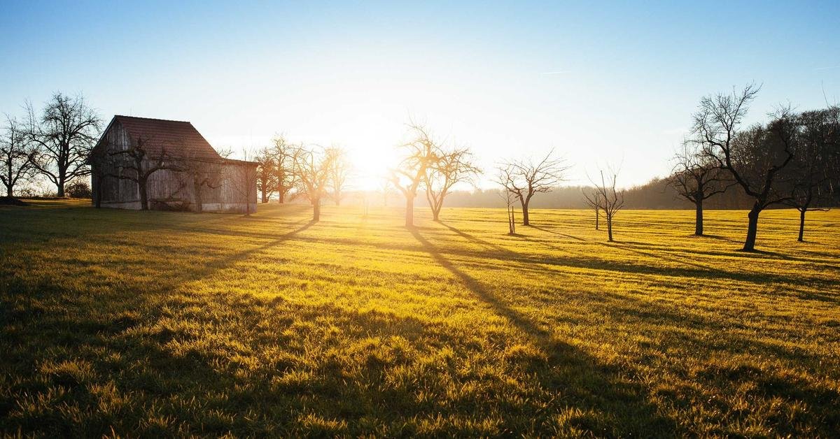 7 Best Niches for Agencies